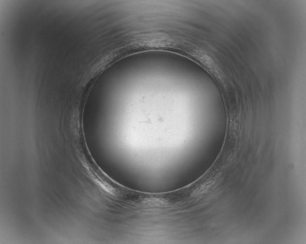 X0000072930397200608041221