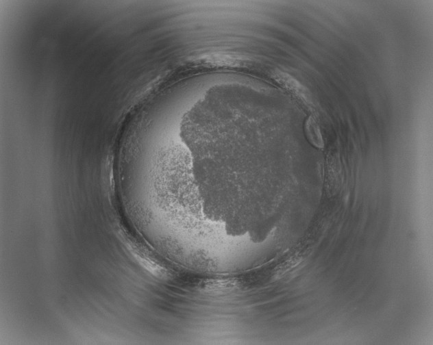 X0000072930398200608041221