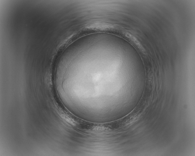 X0000072930399200608041221