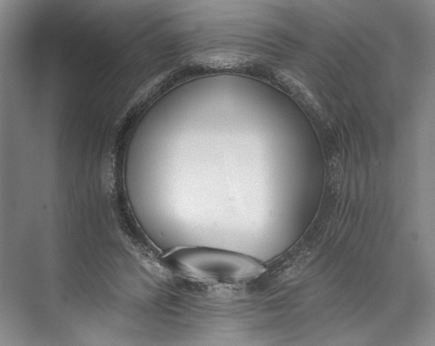 X0000072930400200608041221