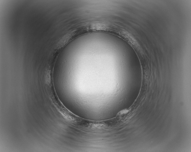 X0000072930401200608041221