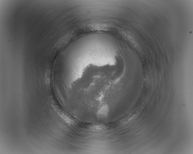 X0000072930402200608041221