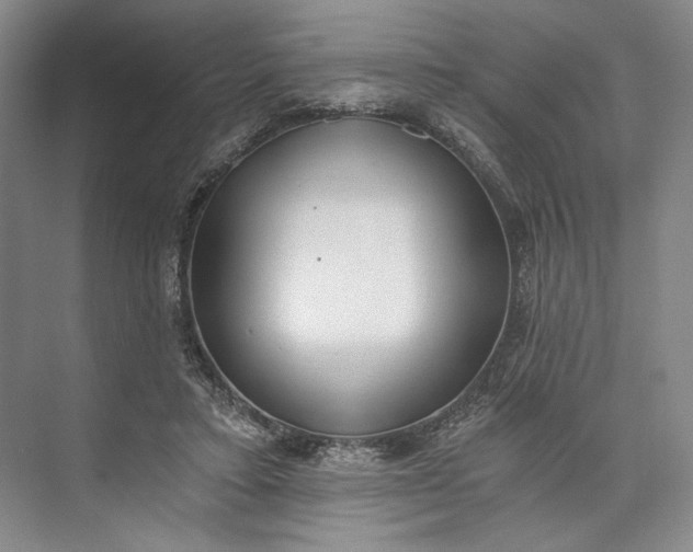 X0000072930403200608041221