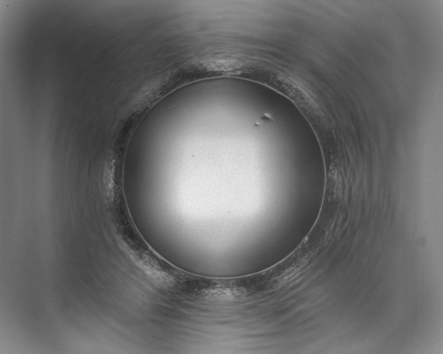 X0000072930404200608041221