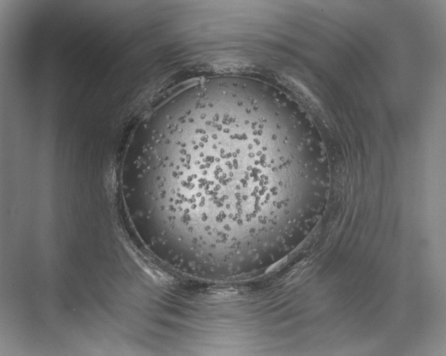 X0000072930405200608041221