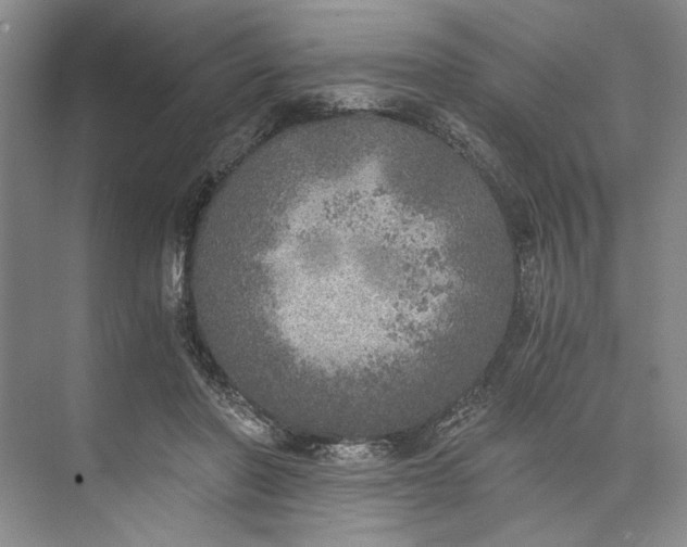 X0000072930406200608041221