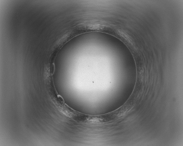 X0000072930407200608041221