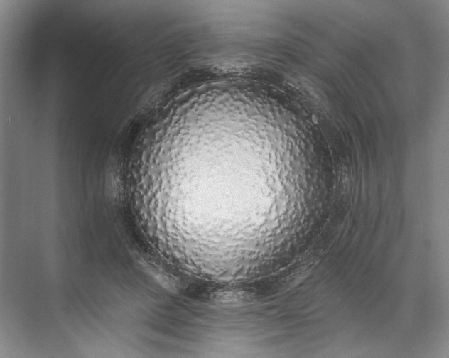 X0000072930408200608041221