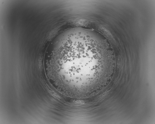 X0000072930409200608041221