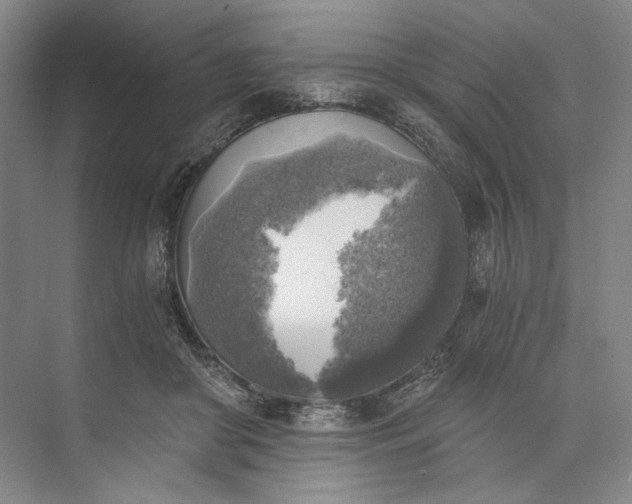 X0000072930410200608041221