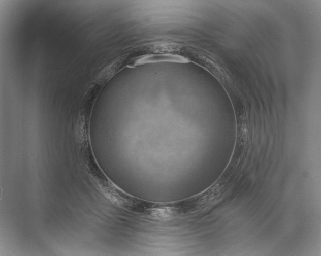 X0000072930411200608041221