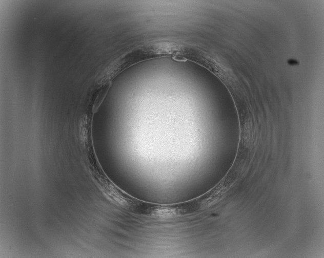 X0000072930413200608041221