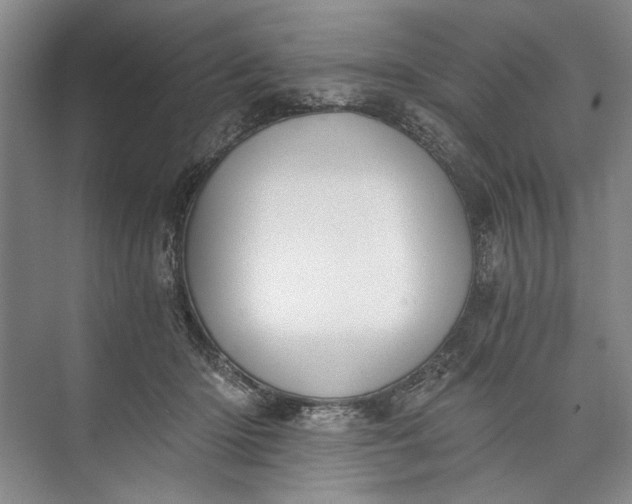 X0000072930414200608041221