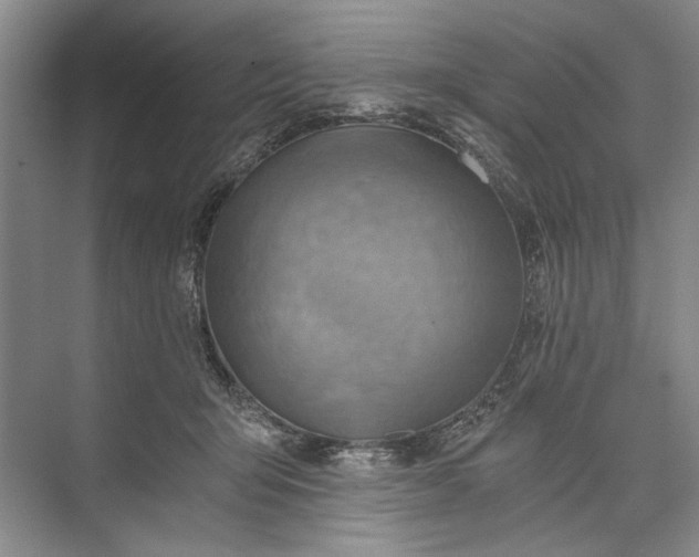 X0000072930415200608041221