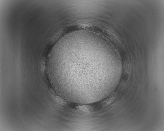 X0000072930417200608041221