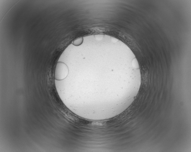 X0000072930418200608041221