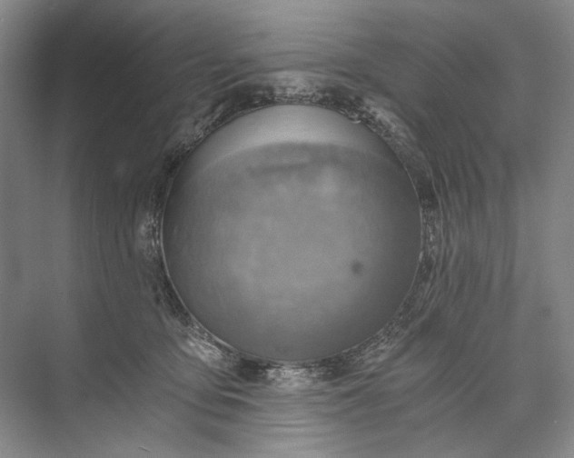 X0000072930419200608041221