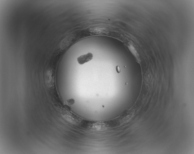 X0000072930420200608041221