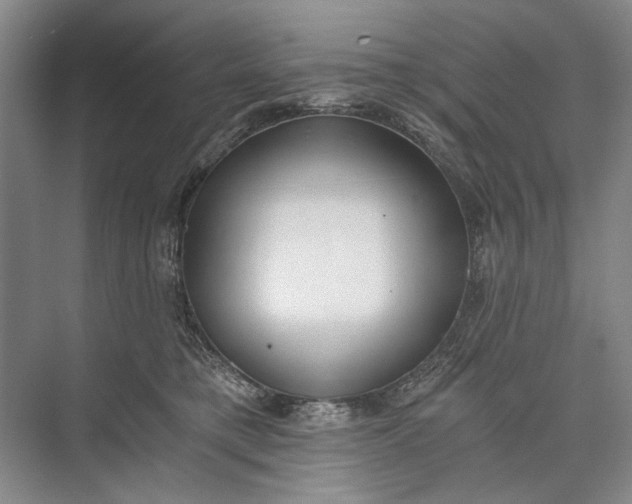 X0000072930421200608041221