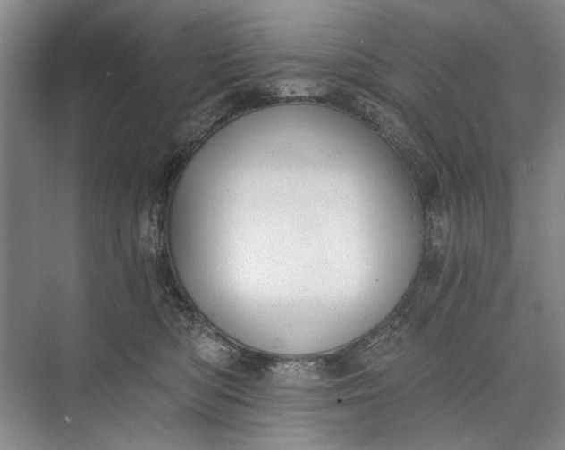 X0000072930422200608041221