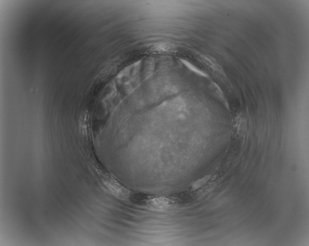 X0000072930423200608041221