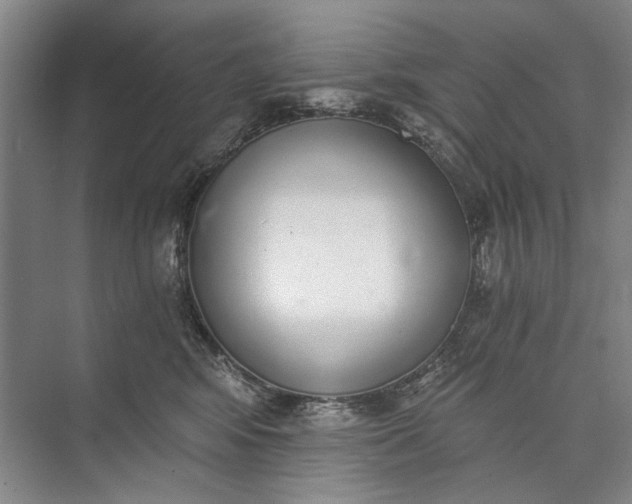 X0000072930424200608041221