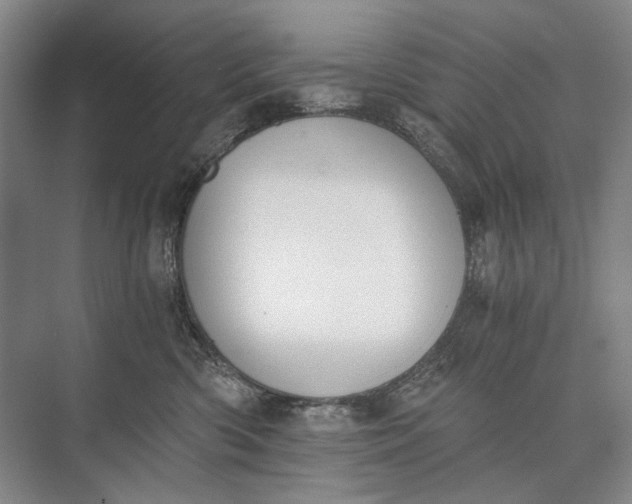 X0000072930426200608041221