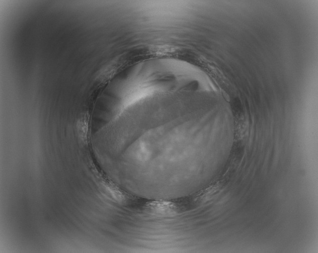 X0000072930427200608041221