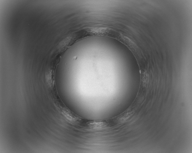 X0000072930428200608041221