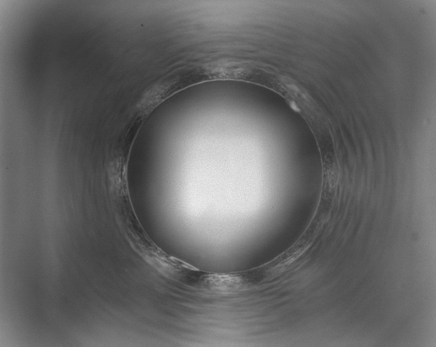 X0000072930429200608041221