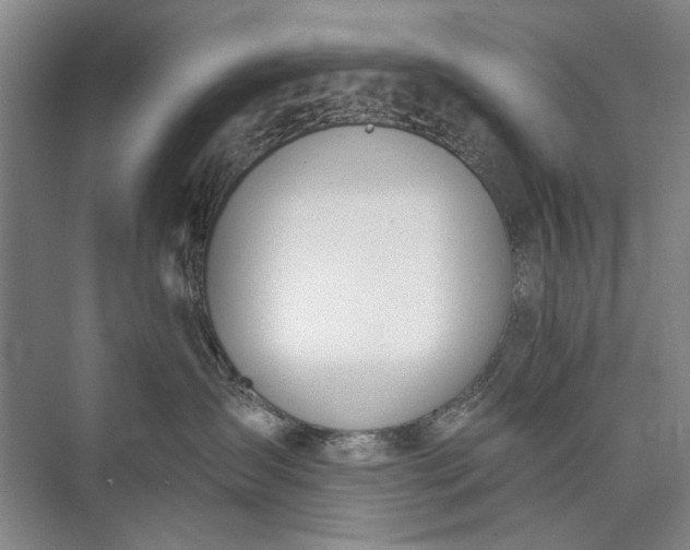 X0000072930431200608041221