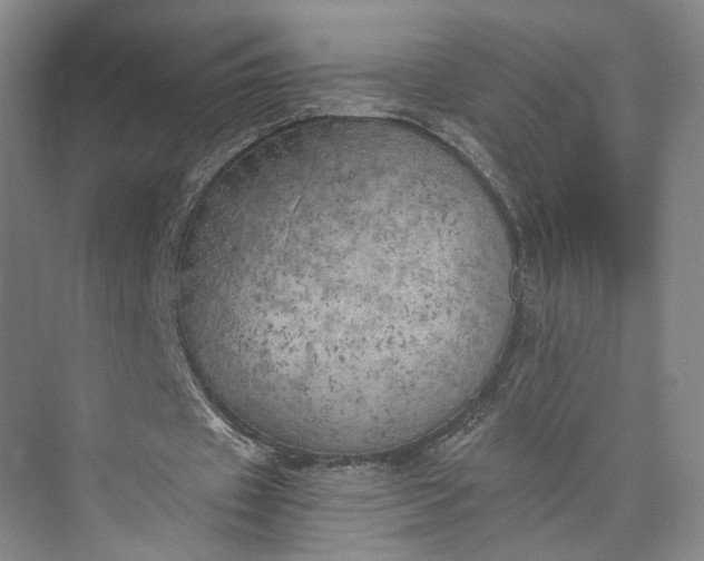 X0000072930433200608041220