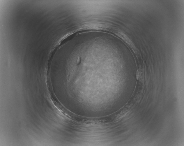 X0000072930434200608041220