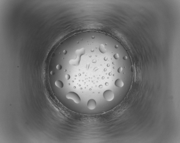 X0000072930435200608041220