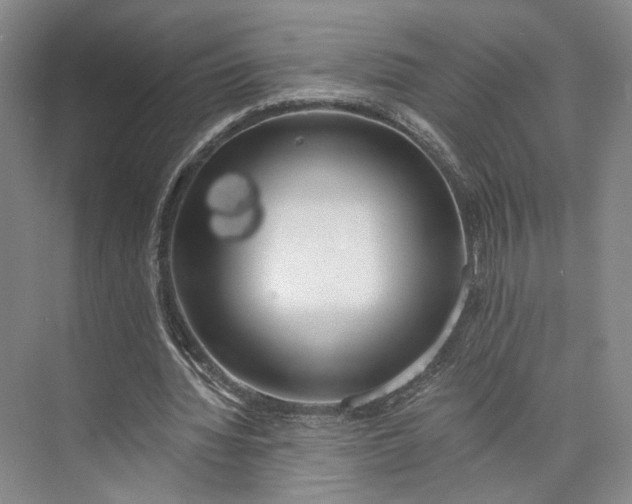 X0000072930436200608041220