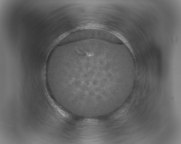 X0000072930437200608041220