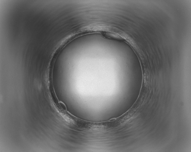 X0000072930438200608041220