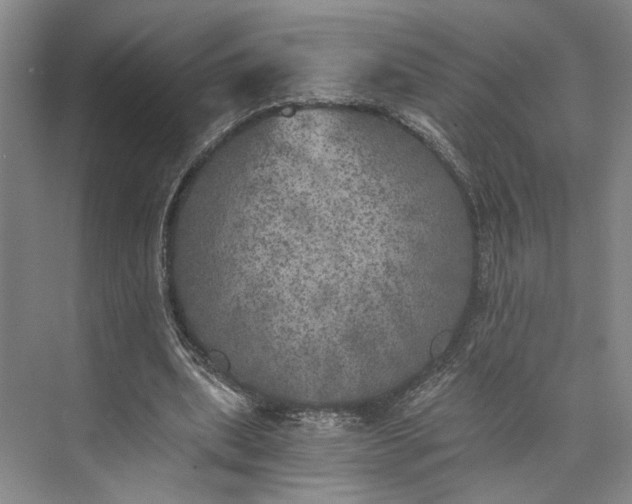 X0000072930439200608041220