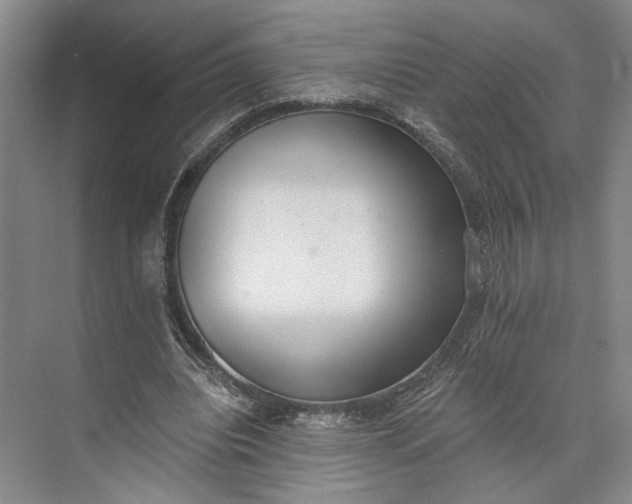 X0000072930440200608041220