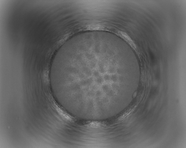 X0000072930441200608041220