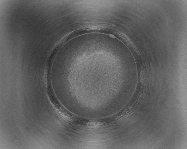 X0000072930444200608041220