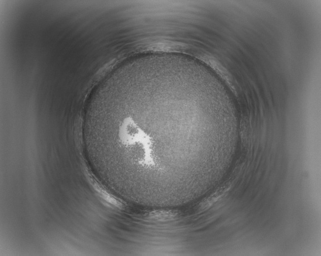 X0000072930445200608041220