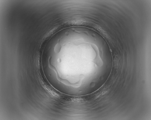 X0000072930446200608041220