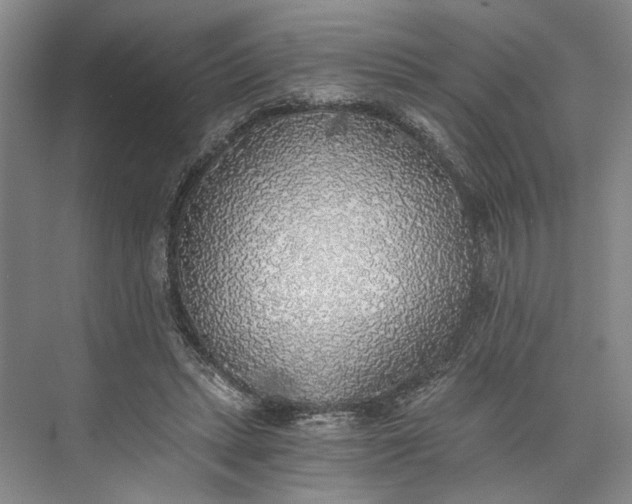 X0000072930447200608041220