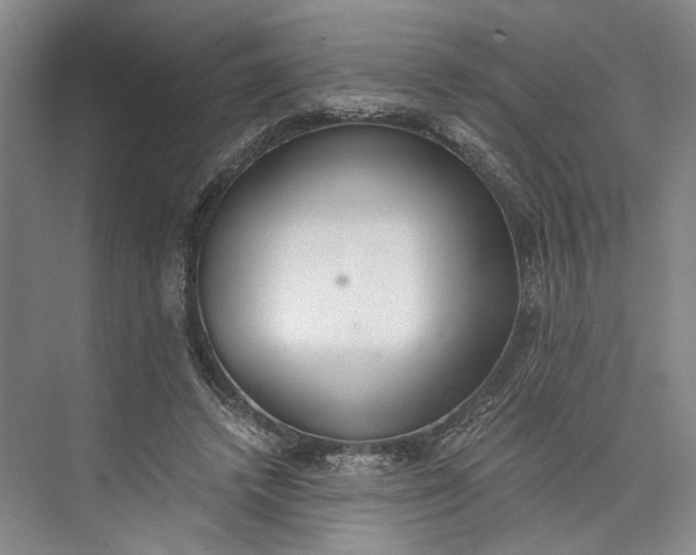 X0000072930448200608041220