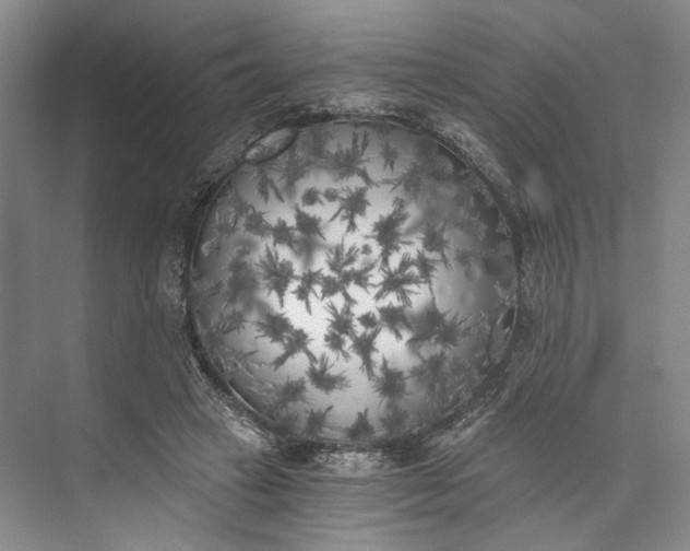 X0000072930449200608041220