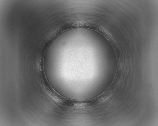 X0000072930450200608041220