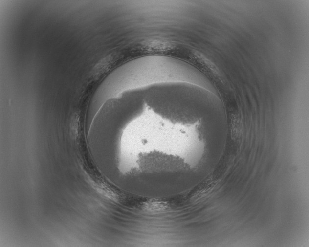 X0000072930451200608041220