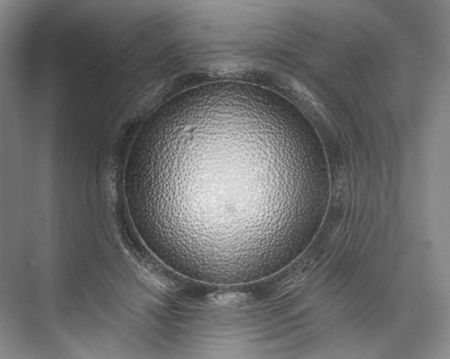 X0000072930452200608041220