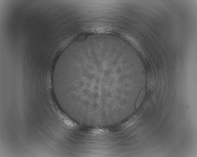 X0000072930453200608041220